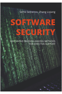 Software security. Innovative decision-making methods for effective support - okładka książki